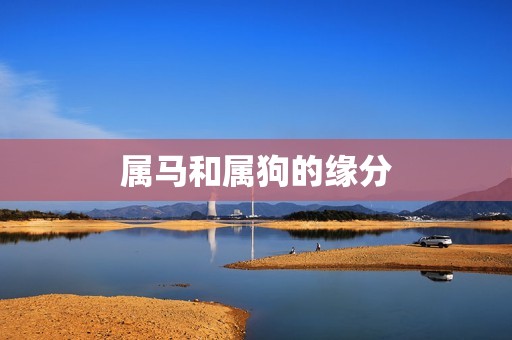 属马和属狗缘分有多深(介绍命中注定还是需要努力)