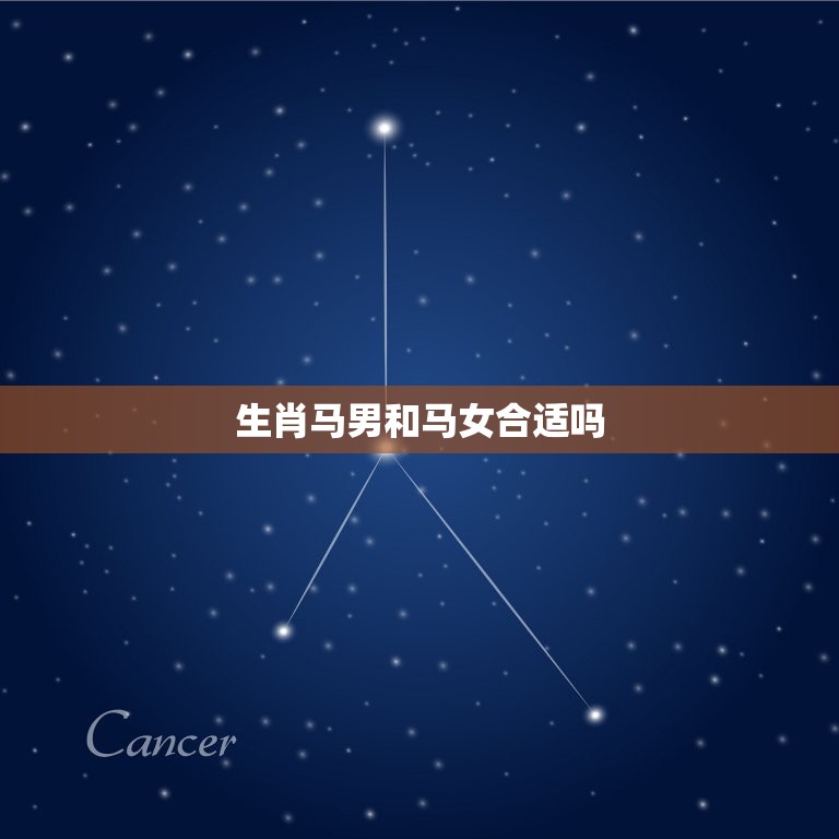 生肖马男和马女合适吗(讨论同马相恋是否会有马失前蹄)