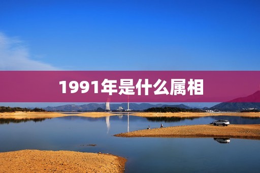 1991年是什么属相(探寻中国传统文化中的生肖号)