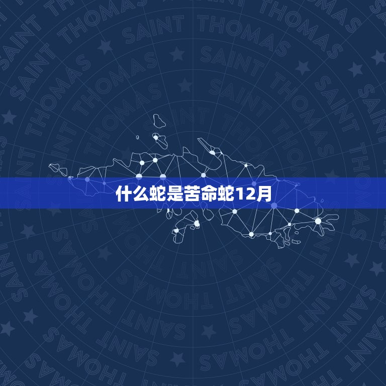 什么蛇是苦命蛇12月(解密十二月出生的人最适合养这种蛇)