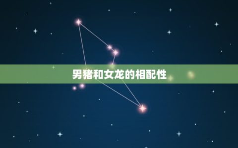 男猪和女龙相配吗婚姻(真爱还是注定分离)