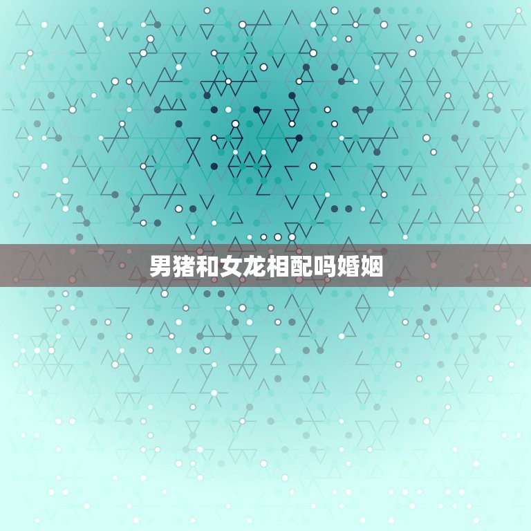 男猪和女龙相配吗婚姻(真爱还是注定分离)