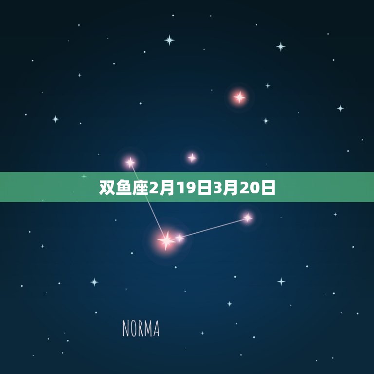 属牛2月份是什么星座(解密2月份出生的人属于哪个星座)