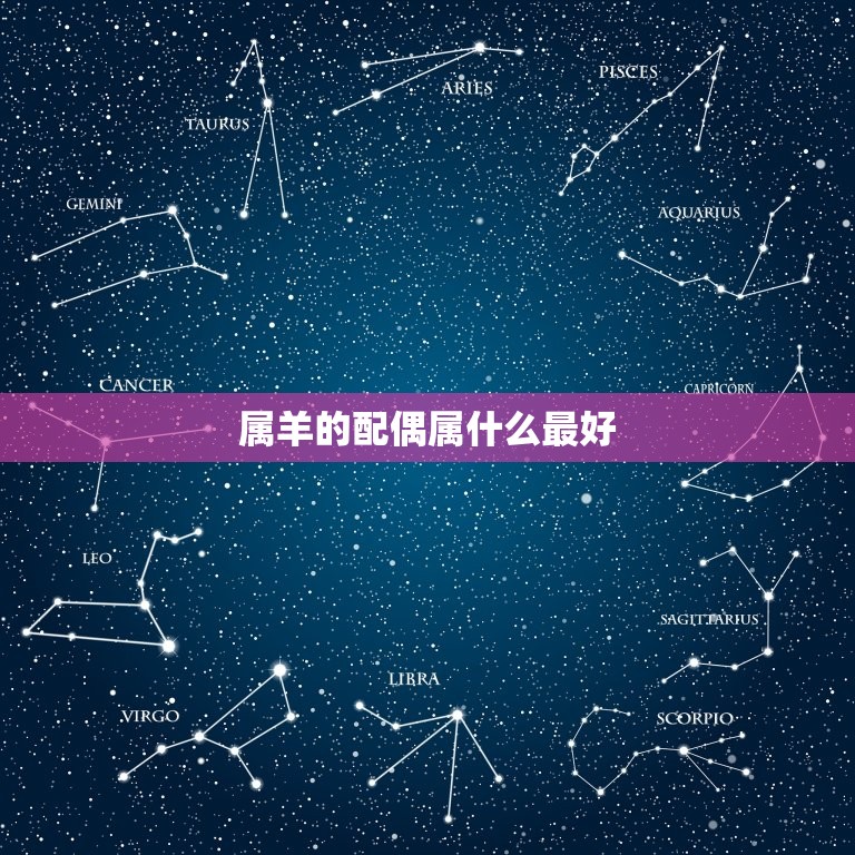 属羊的配偶属什么(如何选择星座配偶)