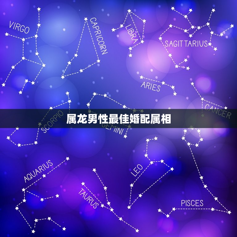 属龙男性婚配属相(介绍哪些属相最适合与属龙男性结婚)