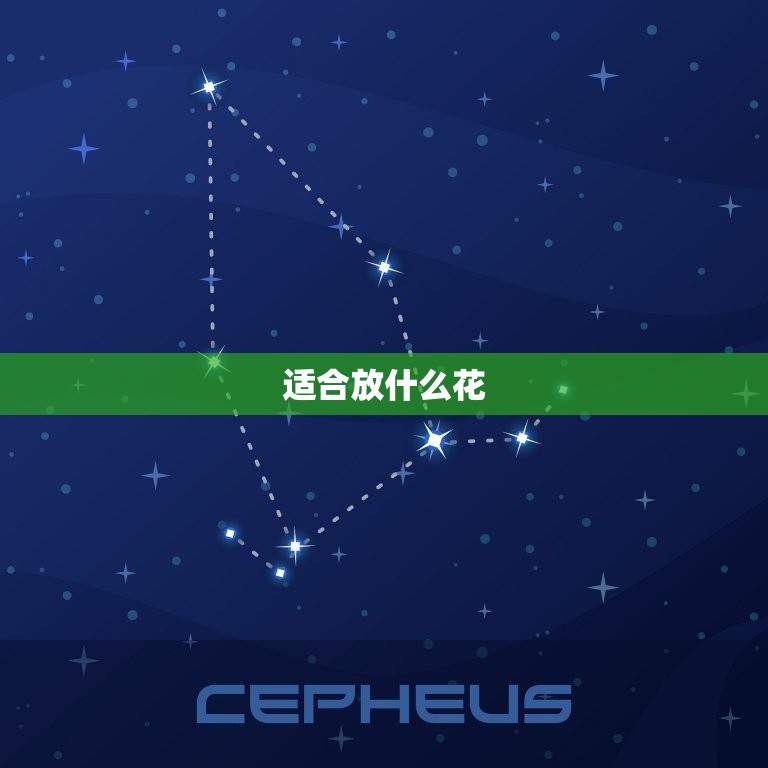 属鸡人忌什么花放家里(避免这些花让你的家庭幸福)