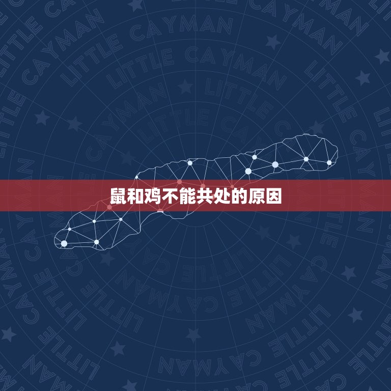 鼠和鸡在一起对谁不利(为什么这两个生肖不能共处)