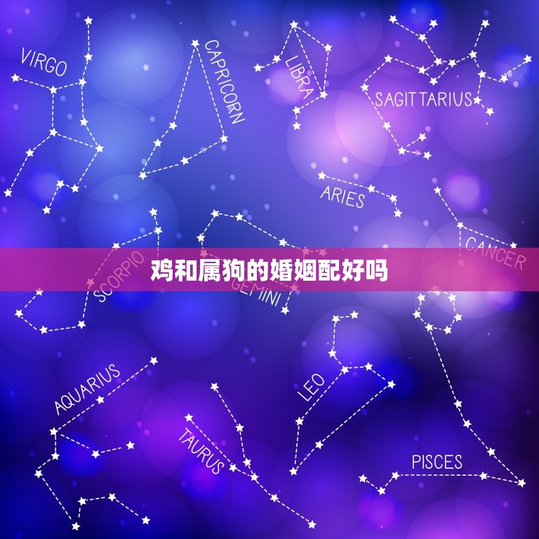 鸡和属狗的婚姻配好吗(星座专家介绍)