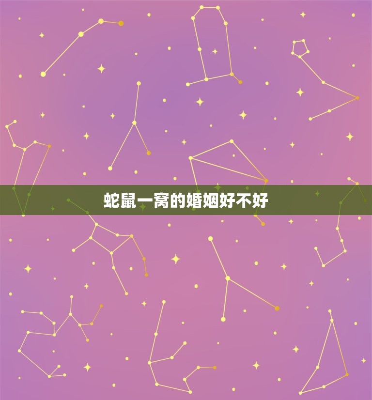 蛇鼠一窝的婚姻好不好(婚姻中的真爱还是利益的)