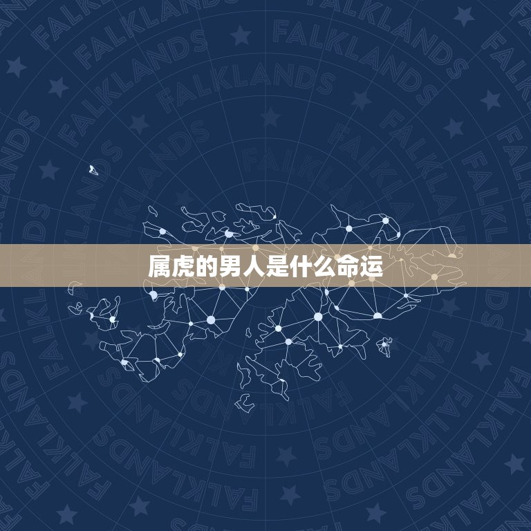 属虎的男人是什么命运(介绍运势如何)