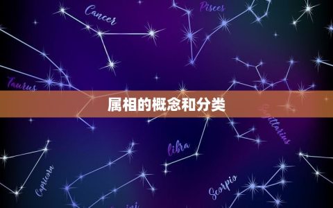 属相属虎的今年多大了(2023年属虎人的年龄计算方法)