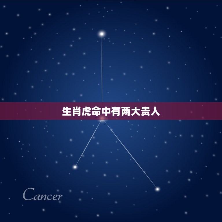 生肖虎命中有两大贵人(幸运降临财富与事业双丰收)
