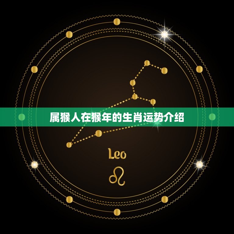 属猴的今年多大了了(猴年生肖运势介绍)