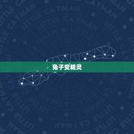 西游记玉兔精故事概括(兔子变精灵孙悟空斗怪)