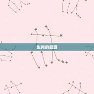 十二生肖属相时间划定(介绍中国传统文化中的生肖起源与演变)