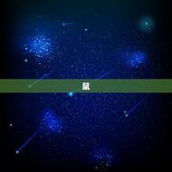 搜一下十二生肖的排序(十二生肖排名大介绍)