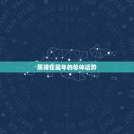 属猪在鼠年运势怎么样(2023年猪年运势大介绍)