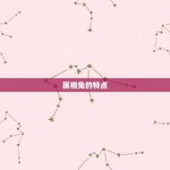 属相兔是哪些年出生的(兔年生肖解读)