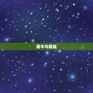 属牛的配对属相婚配表(十二生肖婚配指南)