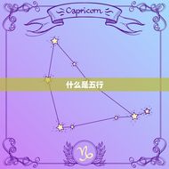 出生时辰五行查询命(如何了解自己的五行属性)