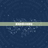 近几年属相比较是(哪些)