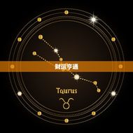 20233年属兔运势(兔子迎来新春财运亨通事业有成)