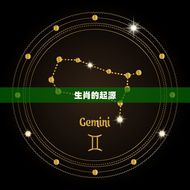 生肖是从立春开始算吗(解国传统生肖文化)