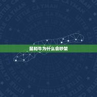鼠和牛为什么老是吵架(介绍动物之间的矛盾与和解)