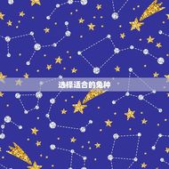 最简单的养兔子的方法(兔宝宝也能养)