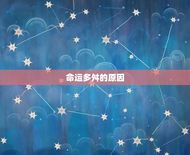 87年8月的兔子命运(命运多舛的兔子们)