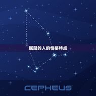 属鼠的跟属鼠的合不合(同属一鼠情感更深)