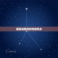 属鼠和鸡的属相合不合(介绍十二生肖中最复杂的组合)