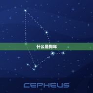 属狗的宝宝今年多大了(如何计算狗年宝宝的年龄)