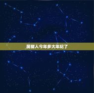 属猪的今年多大年纪了(猪年运势大介绍财运亨通事业顺利)