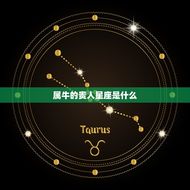 属牛贵人是属什么(如何选择星座配对)