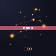 90年属马的三大坎女(介绍命运多舛的马儿姑娘们)