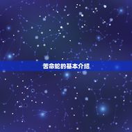 什么蛇是苦命蛇12月(解密十二月出生的人最适合养这种蛇)