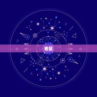 十二生肖受欢迎排行榜(哪些生肖)