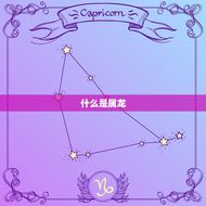 八十多属龙的今年多大(如何算出龙年出生者的年龄)