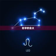 名字含义介绍查询免费(了解你的名字含义)