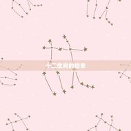 六会彩十二生肖表(2023年全新发布你知道吗)