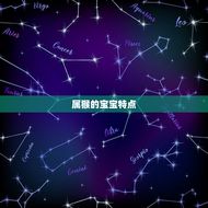 属猴的宝宝起名宜忌字(如何选择合适的名字)