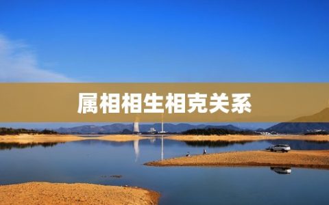 92年男婚配属相(介绍哪些属相最适合与之搭配)