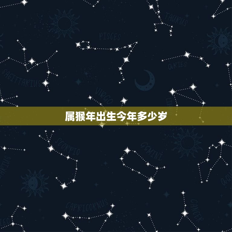 属猴年出生今年多少岁(猴年生肖人的年龄计算方法)