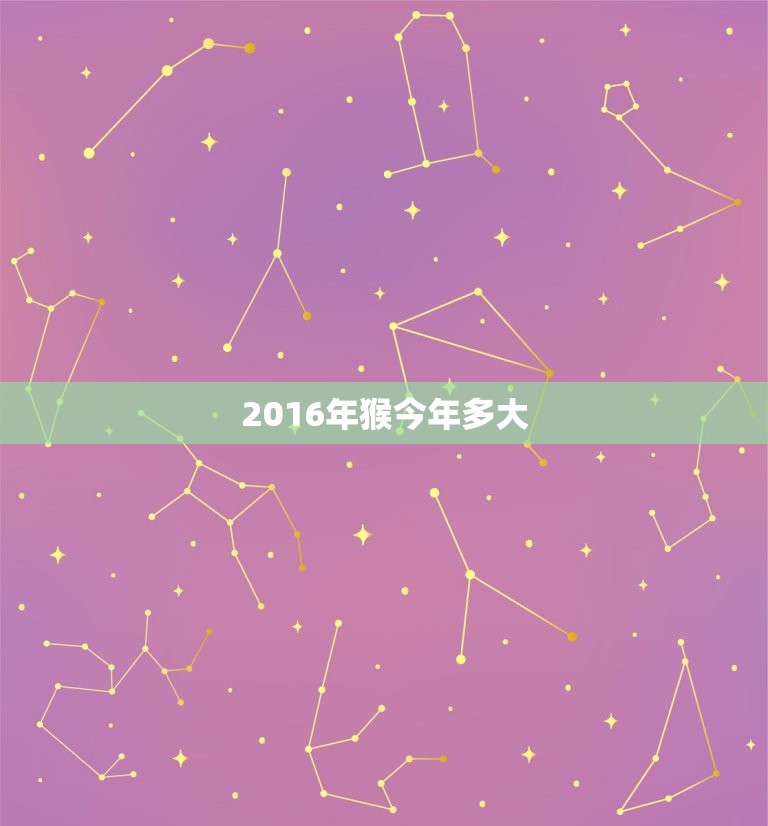 2016年猴今年多大(猴年已过你知道猴子的年龄吗)