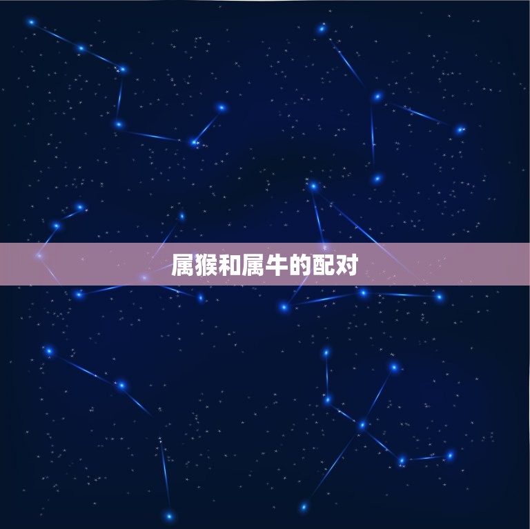 属猴和属什么的最合适(十二生肖配对大介绍)