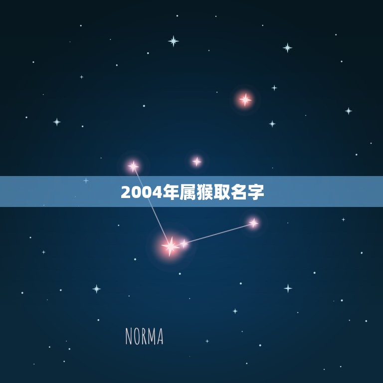 2004年属猴取名字(如何给宝宝取一个好名字)