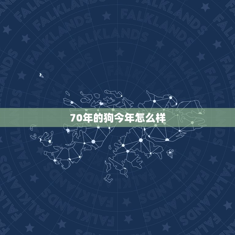 70年的狗今年怎么样(回顾过去展望未来)