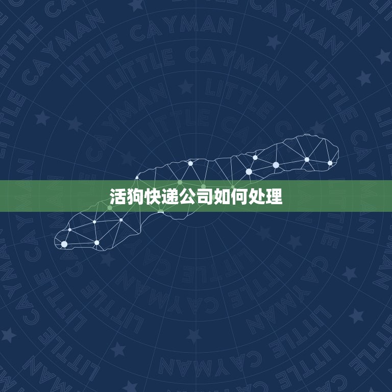 活狗快递公司如何处理(狗狗运输问题)