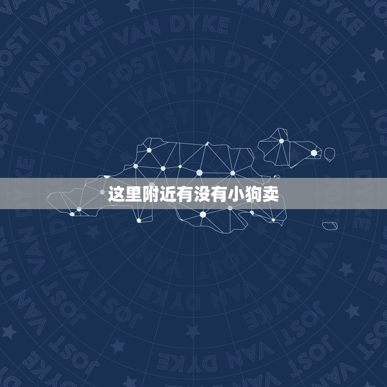 这里附近有没有小狗卖(寻觅毛茸宠物的好去处)
